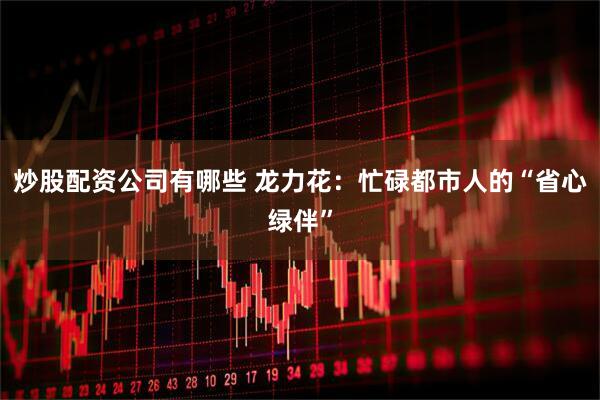 炒股配资公司有哪些 龙力花：忙碌都市人的“省心绿伴”