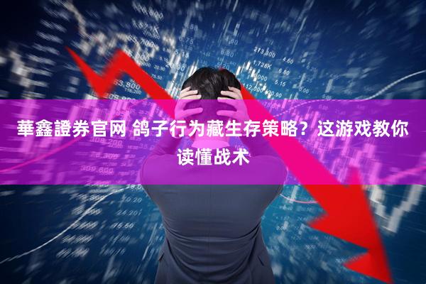 華鑫證券官网 鸽子行为藏生存策略？这游戏教你读懂战术