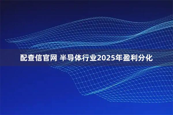 配查信官网 半导体行业2025年盈利分化