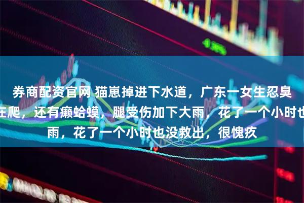券商配资官网 猫崽掉进下水道，广东一女生忍臭跳下施救：蟑螂在爬，还有癞蛤蟆，腿受伤加下大雨，花了一个小时也没救出，很愧疚