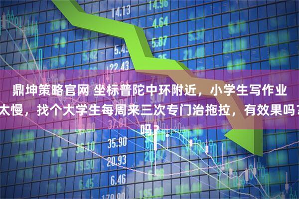 鼎坤策略官网 坐标普陀中环附近，小学生写作业太慢，找个大学生每周来三次专门治拖拉，有效果吗？